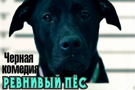 Короткометражный фильм «Ревнивый пёс.